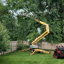 Best Tree Risk Assessment  in Millers Creek, NC