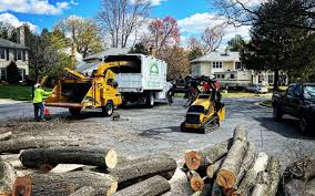 Best Pest Control for Lawns  in Millers Creek, NC